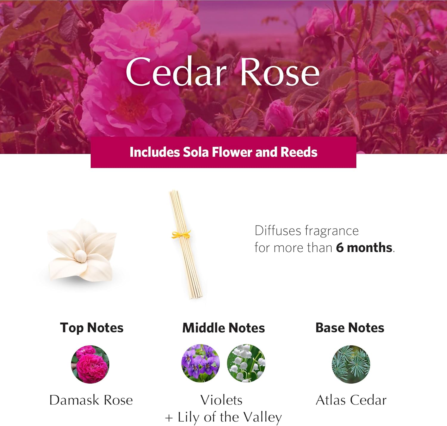 AGRARIA PetiteEssence Diffuser Set Natural Scents
