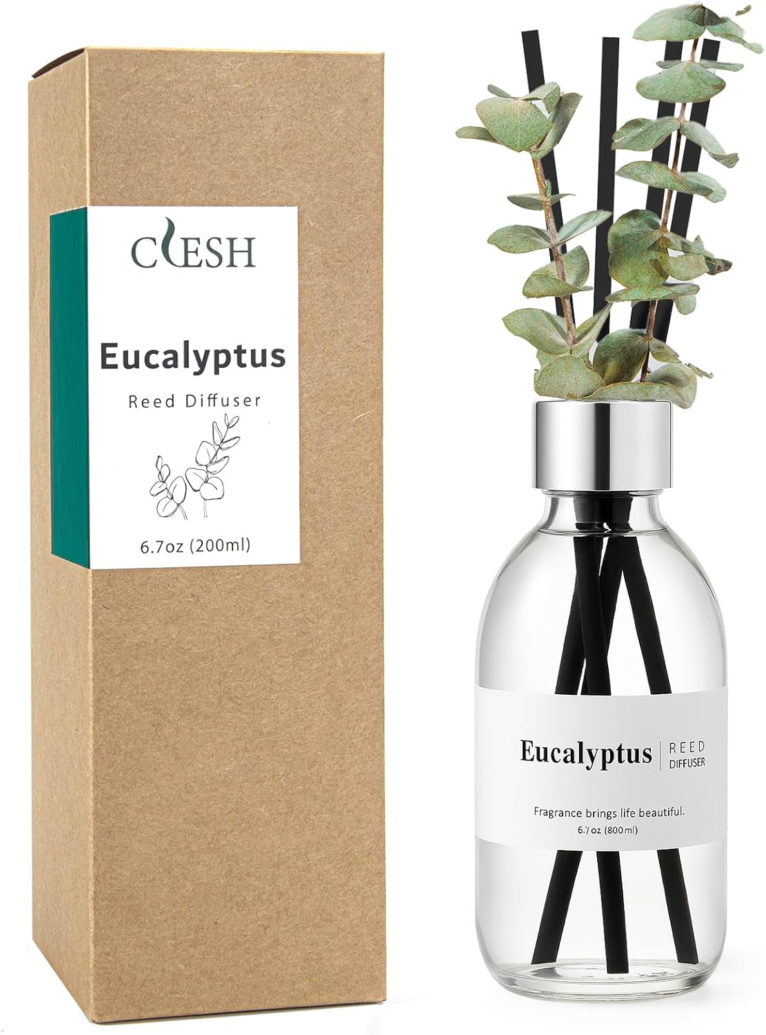 CLESH Eucalyptus Reed Diffuser Set