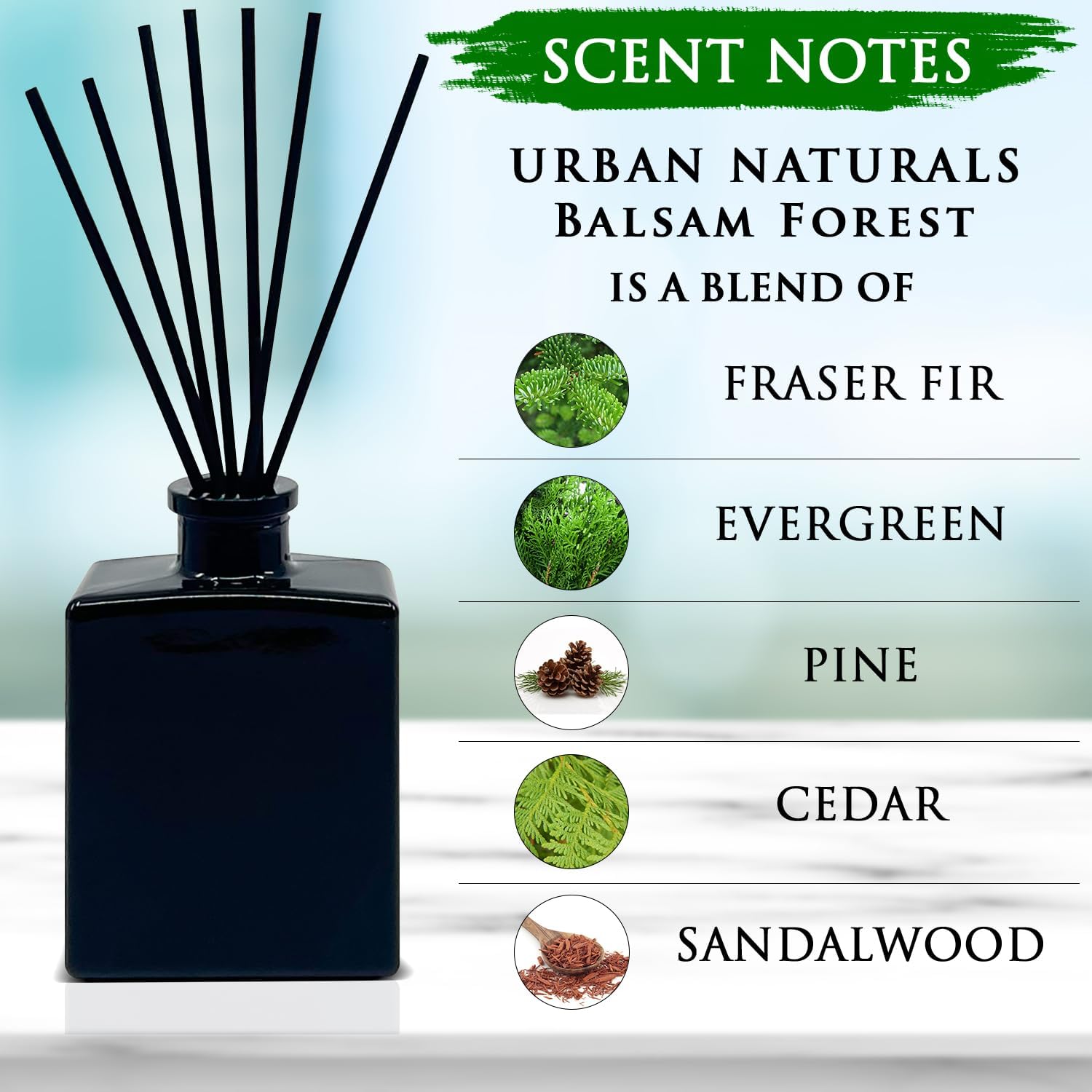 Urban Naturals Balsam Forest Reed Diffuser Set