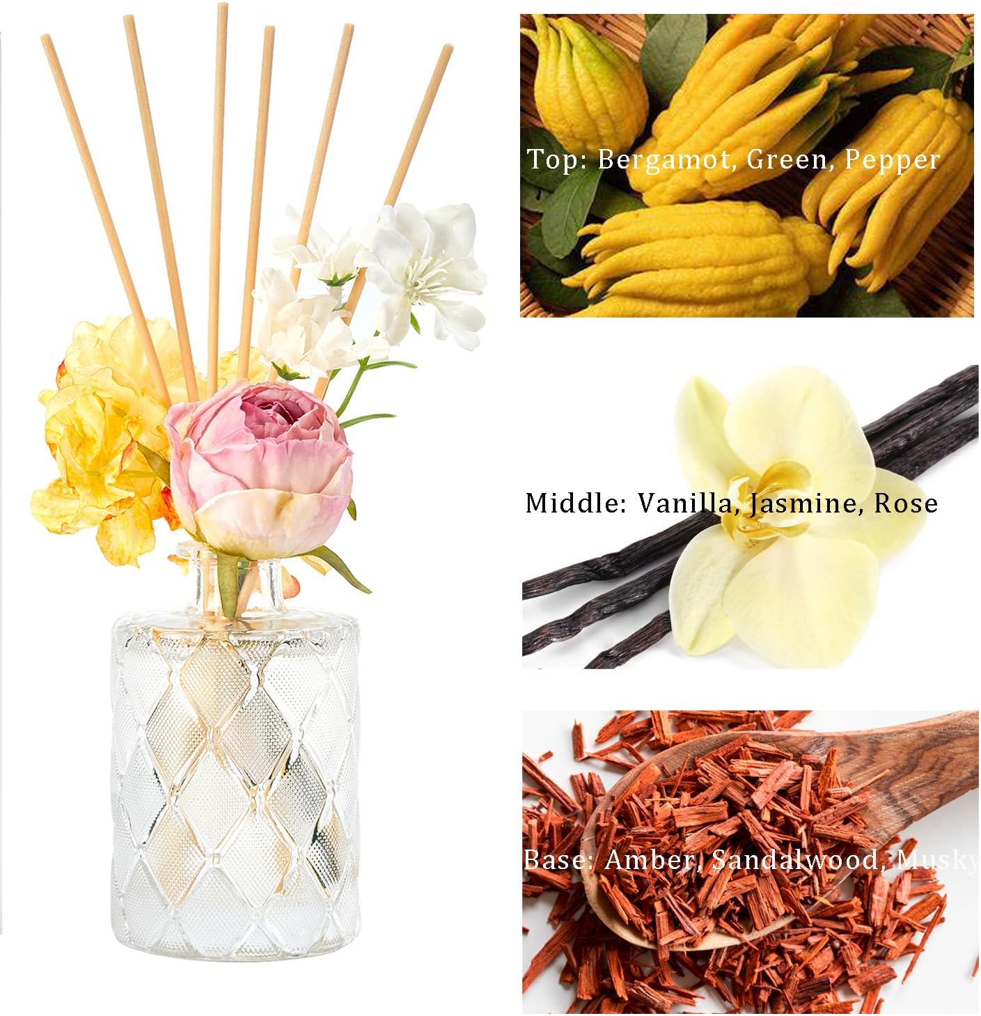 Chloefu Lan Amber Reed Diffuser Set 67 Oz