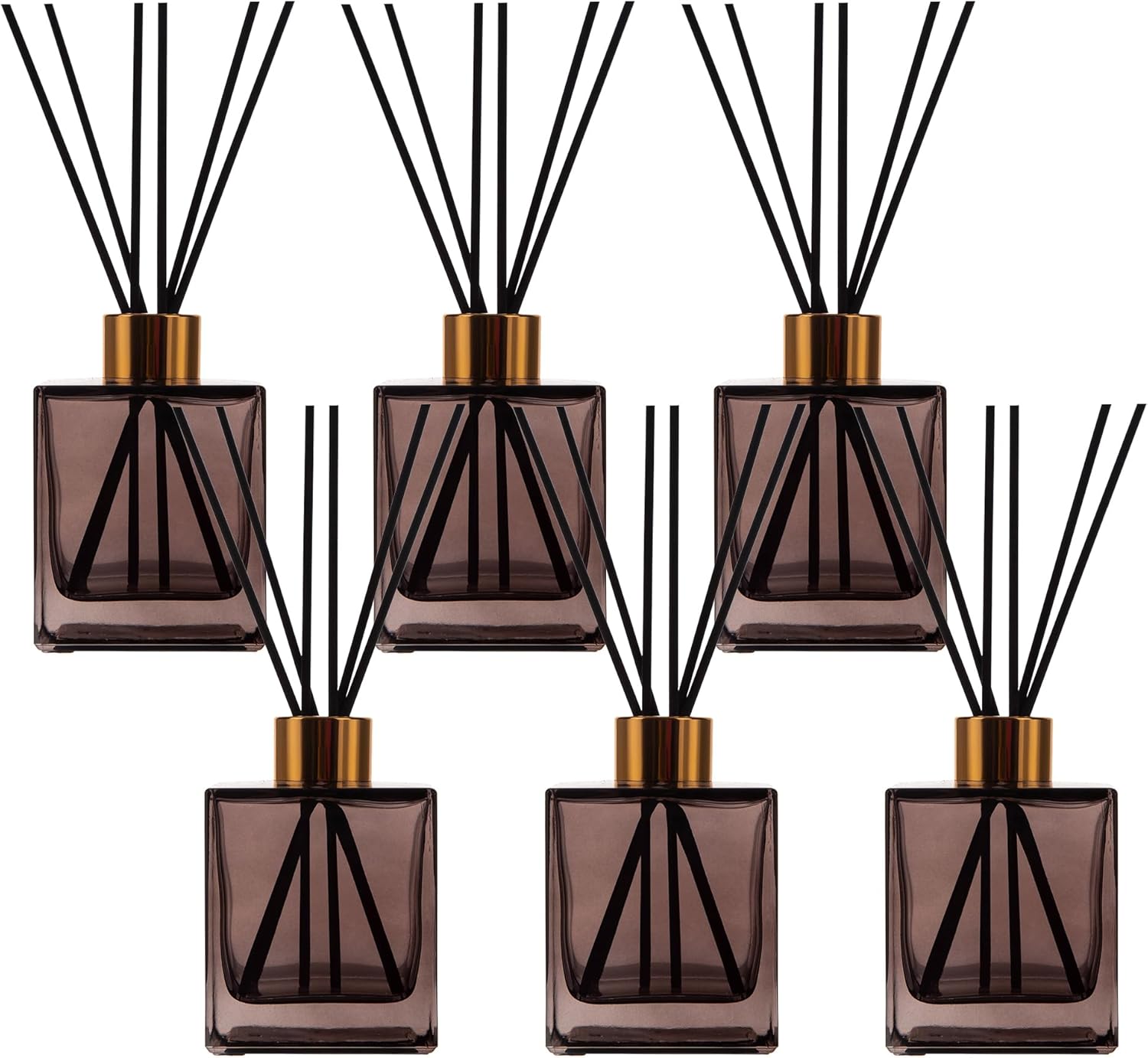 6 Pack Perfume Reed Diffuser Bottle Set with Black Sticks