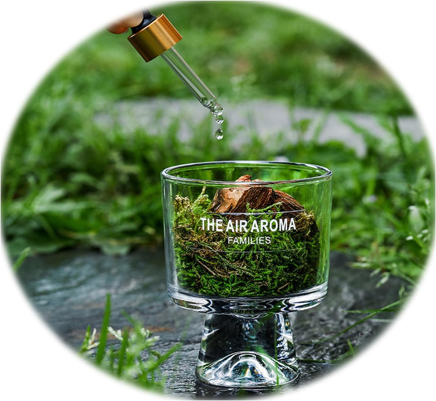 Moss and Pine Aromatherapy Diffuser with Jasmine Scent