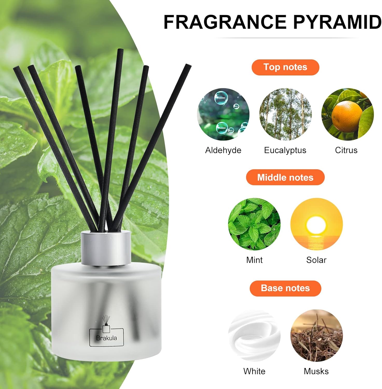 Brakula Eucalyptus Mint Reed Diffuser Set with 8 Sticks