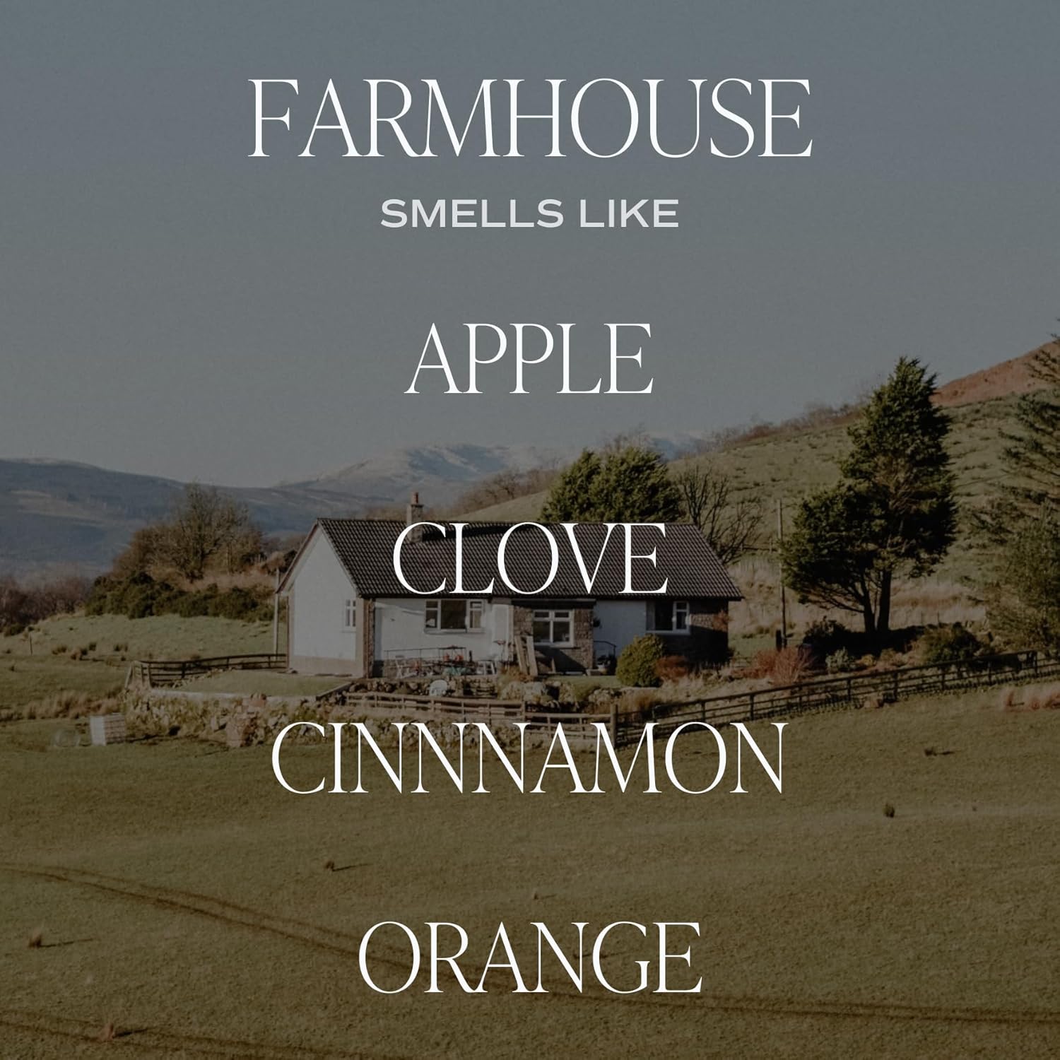 Sweet Water Decor Farmhouse Amber Reed Diffuser Set