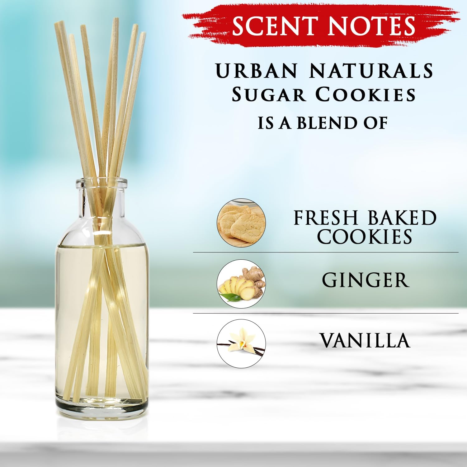 Urban Naturals Sugar Cookies Reed Diffuser Set Fresh Kitchen Scent