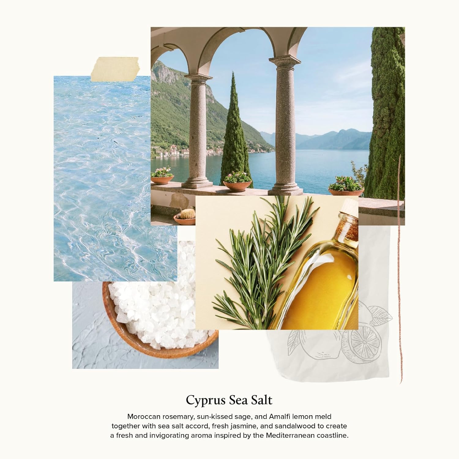 Thymes Cyprus Sea Salt Reed Diffuser Set - 4 Fl Oz