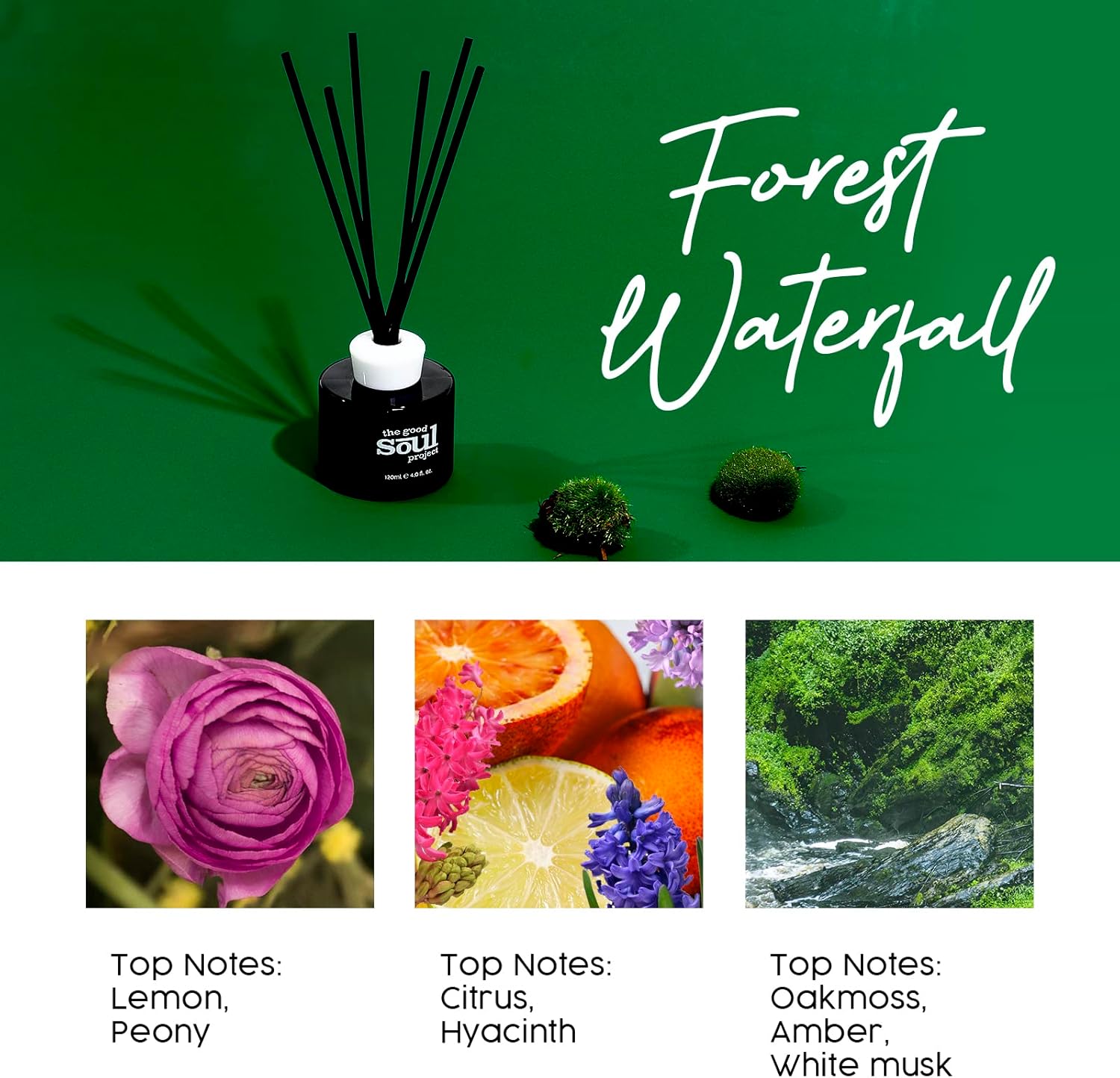 THE GOOD SOUL PROJECT Reed Diffuser Set with Sticks and Scented Oil