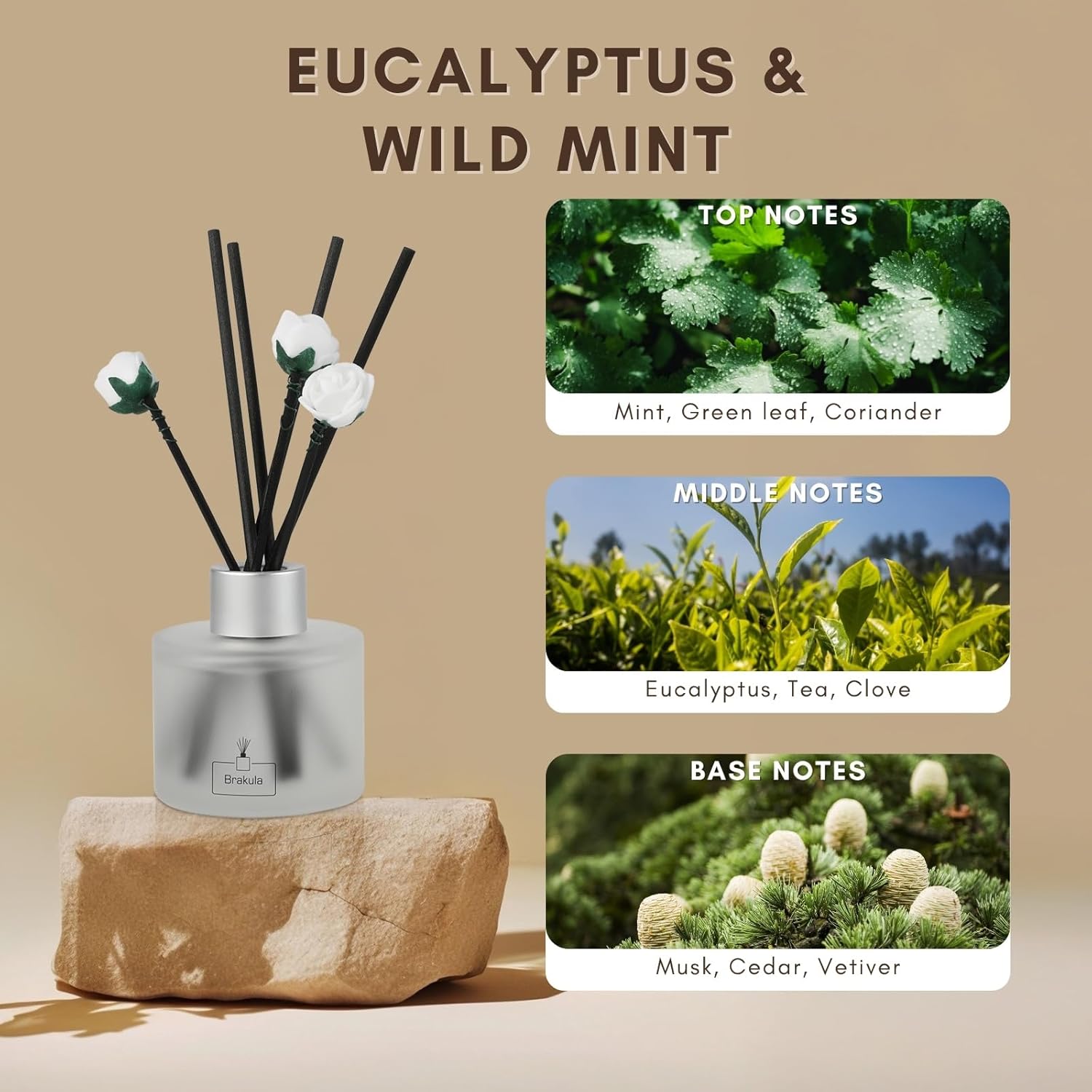 Brakula Reed Diffuser Set Eucalyptus Wild Mint
