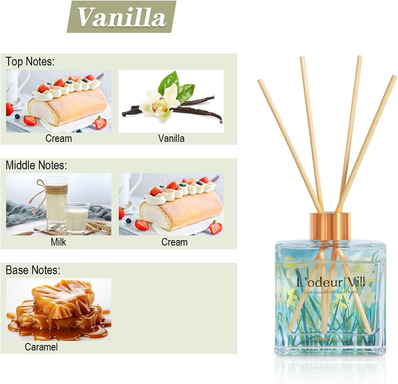 Lodeur Vill Vanilla Reed Diffuser Set 100ML