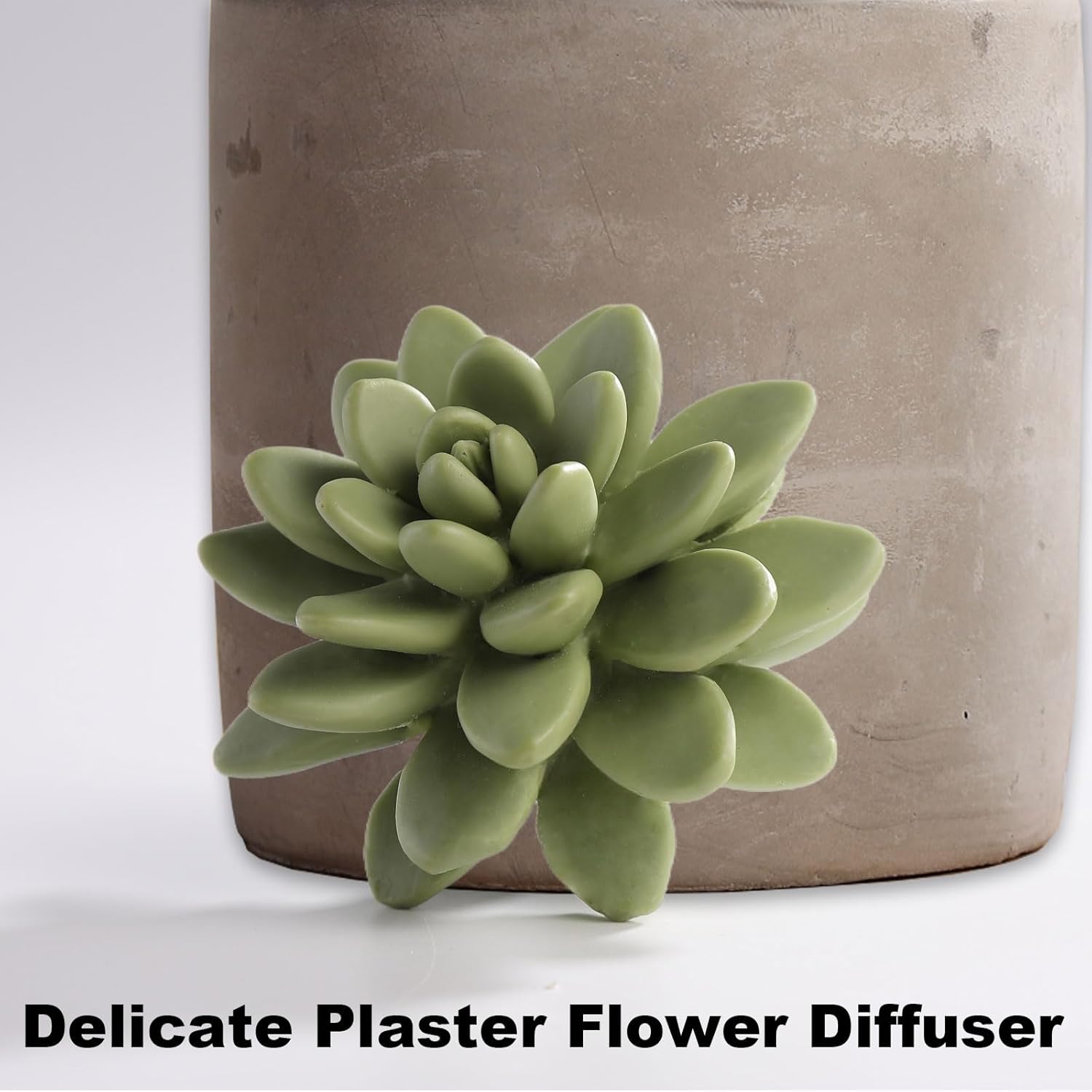 Pretty Valley Home Reed Diffuser Set with Succulent
