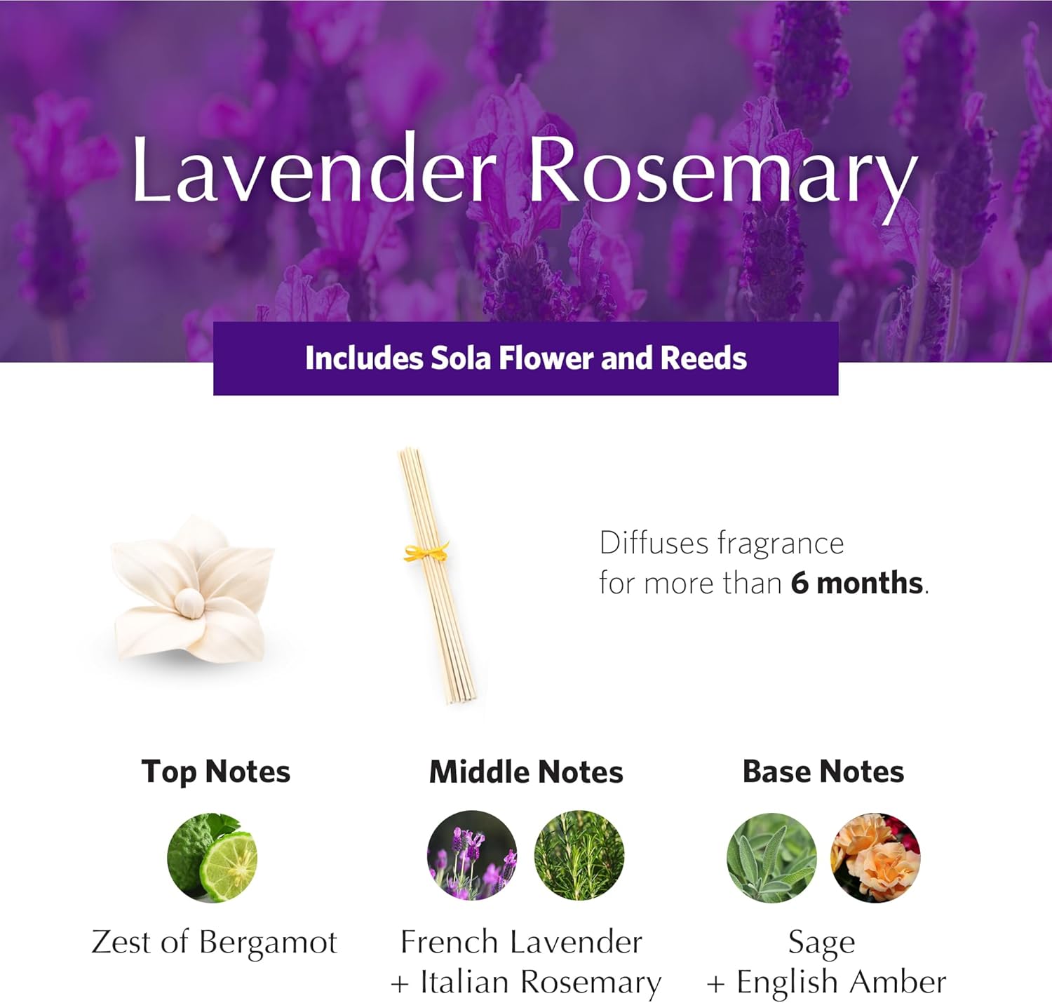 AGRARIA PetiteEssence Reed Diffuser Set