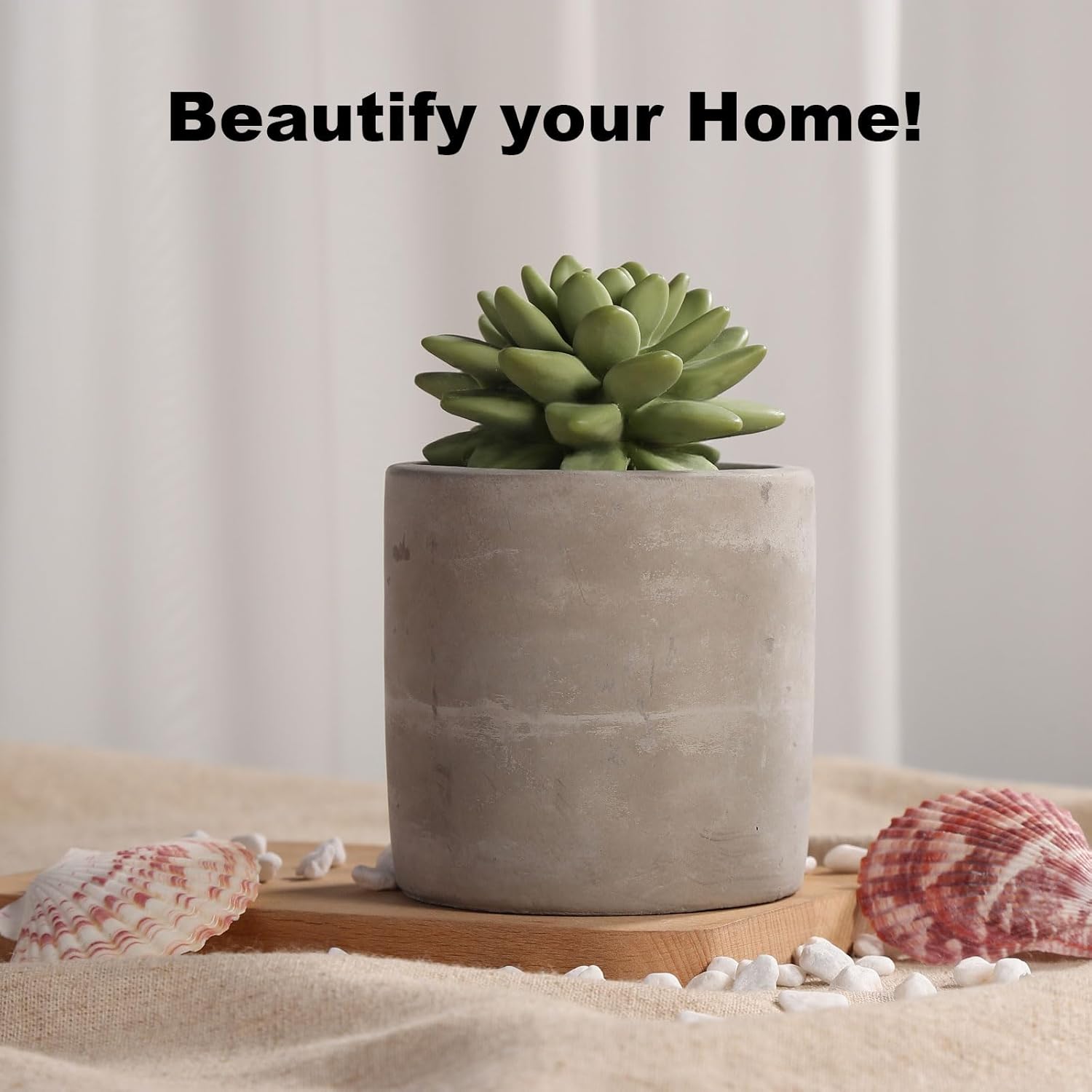 Pretty Valley Home Reed Diffuser Set with Succulent