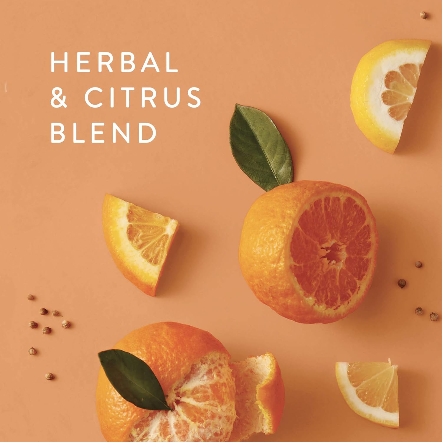 Thymes Petite Reed Diffuser 4 Fl Oz Mandarin Coriander