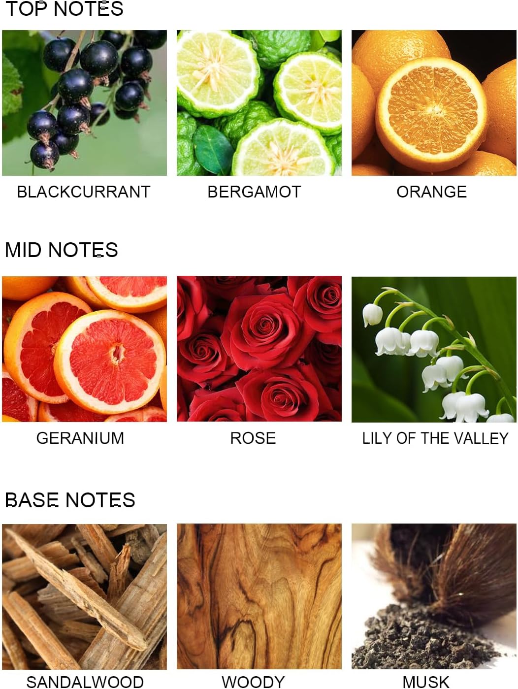 UCC Reed Diffuser Set Romantic Love Scent
