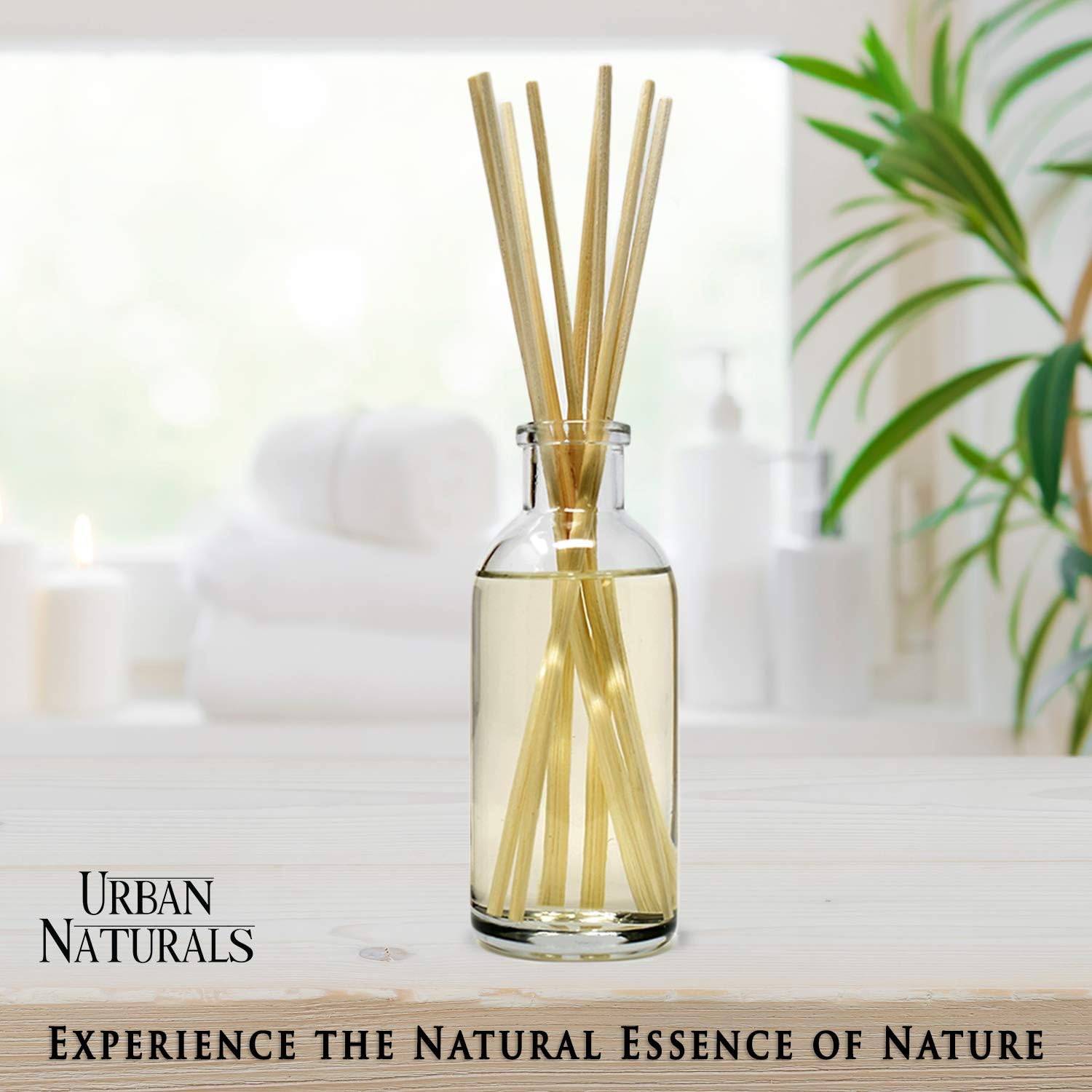 Urban Naturals Sugar Cookies Reed Diffuser Set Fresh Kitchen Scent