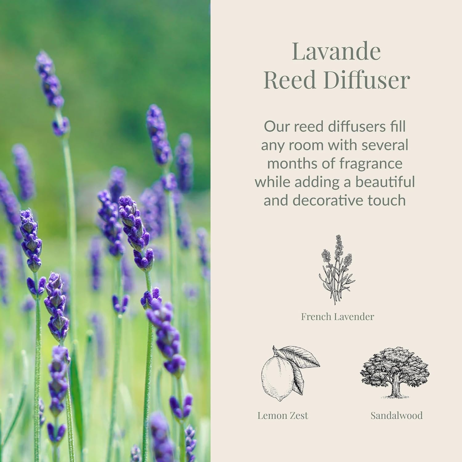 Archipelago Botanicals Lavande Reed Diffuser Set
