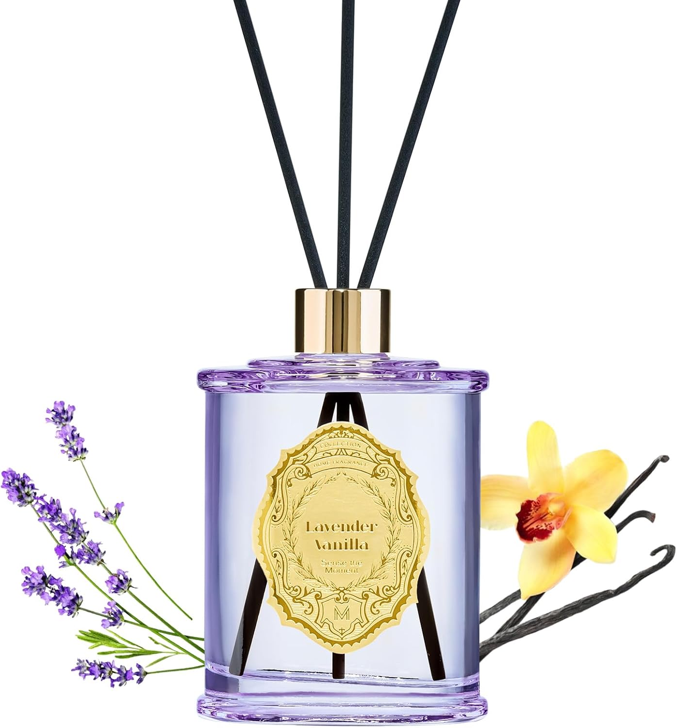 MSENSE 84 oz Large Reed Diffuser Set