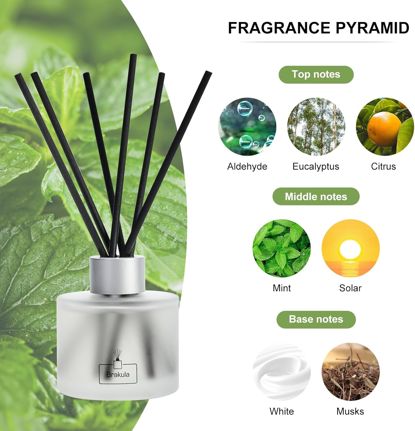 Brakula Reed Diffuser Set - Eucalyptus Mint Scented