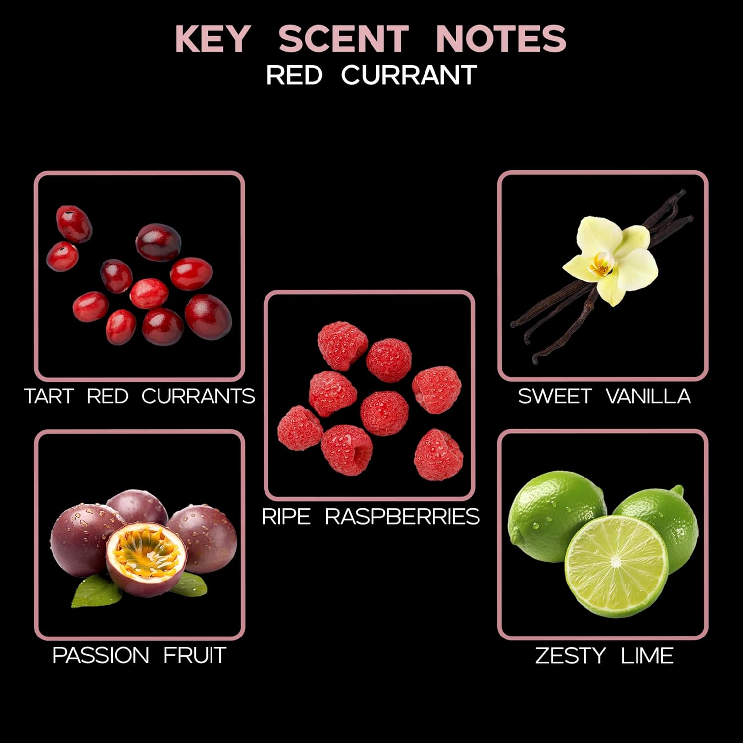LOVSPA Red Currant Reed Diffuser Gift Set