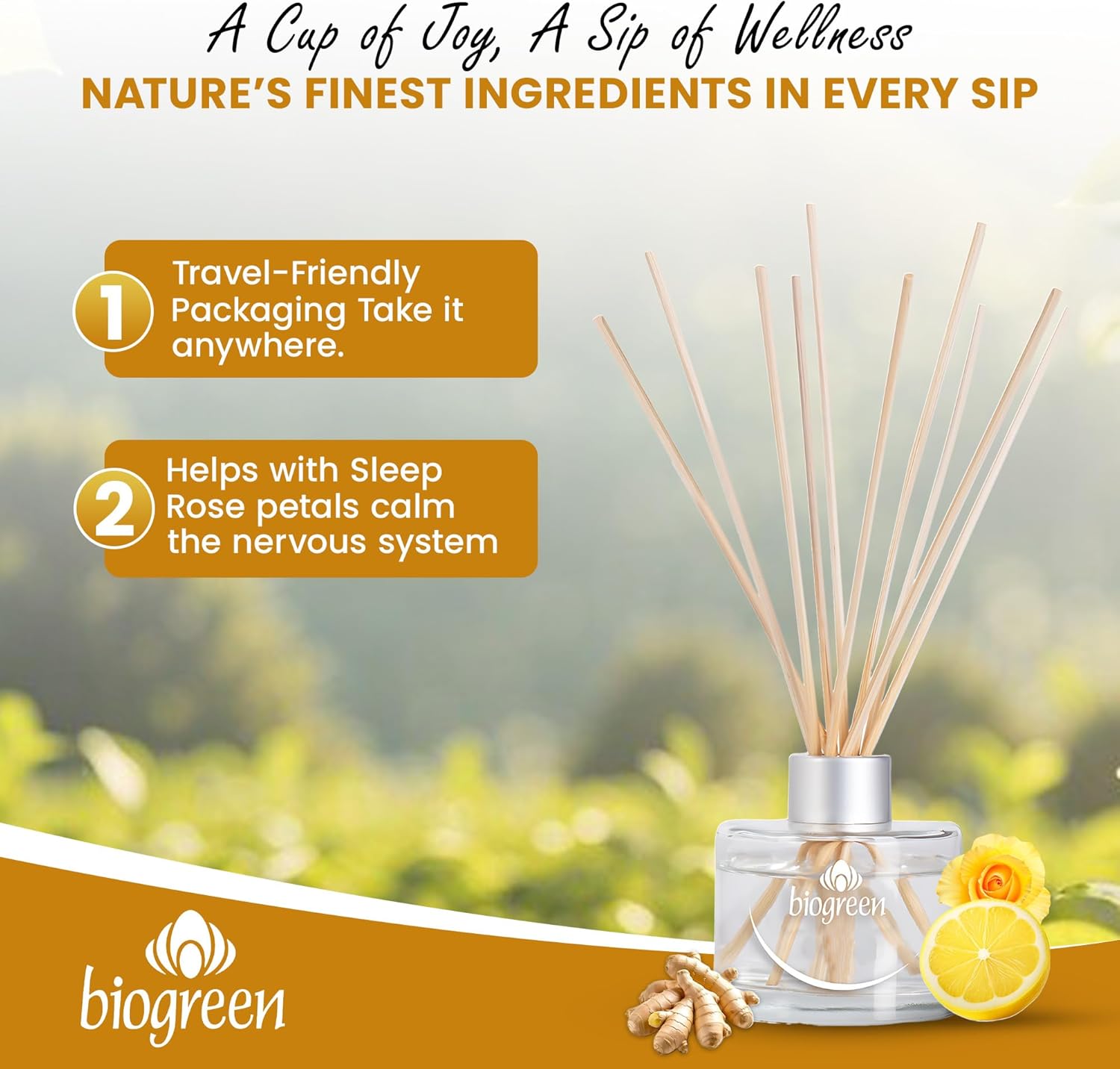 Biogreen Reed Diffuser Ginger Lemon Roses 338 fl oz