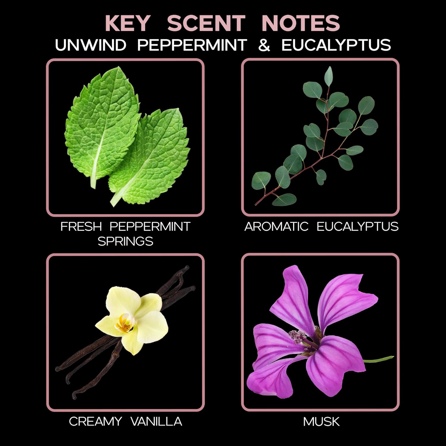 LOVSPA Peppermint Eucalyptus Reed Diffuser Set