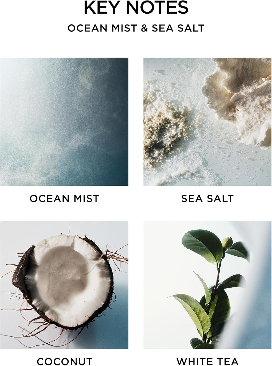NEST New York Reed Diffuser Set - Ocean Mist Sea Salt