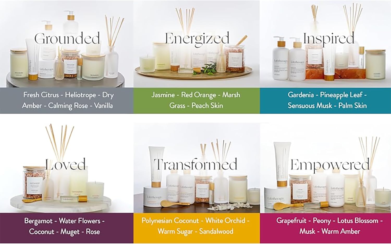 Lifetherapy Transformed Reed Diffuser 8 oz