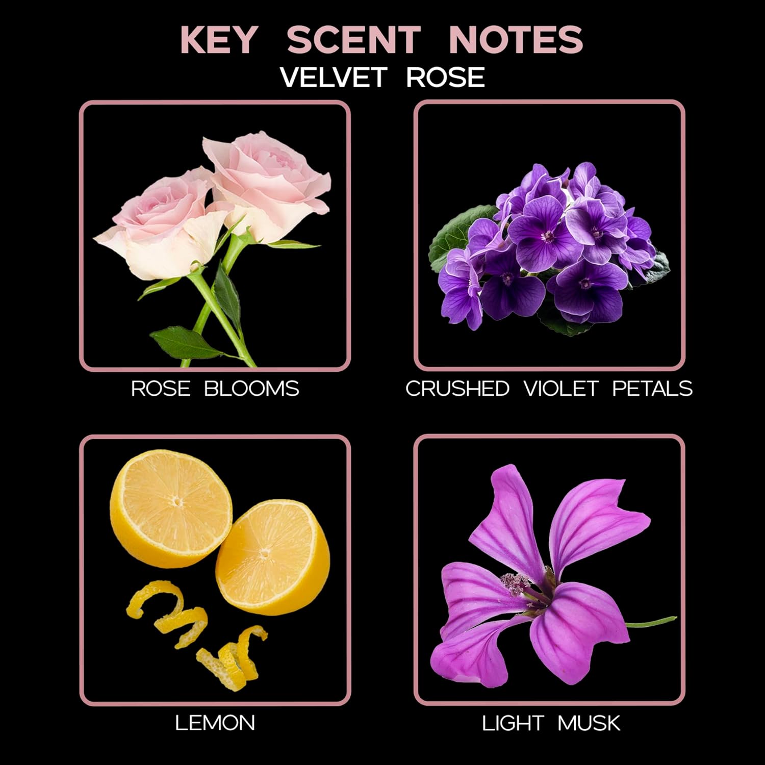 LOVSPA Velvet Rose Reed Diffuser Set