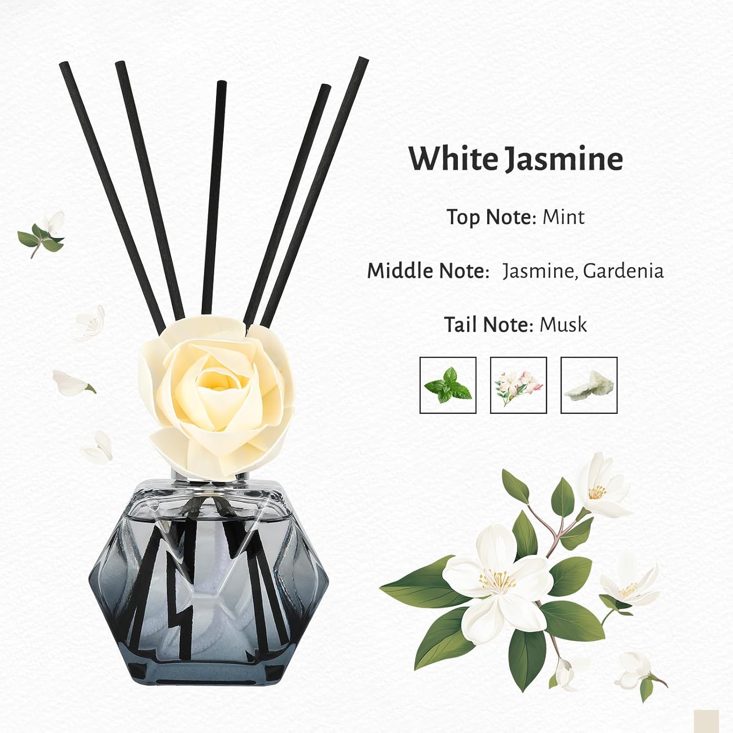 Brakula Reed Diffuser Set with 8 Sticks and 609 fl oz