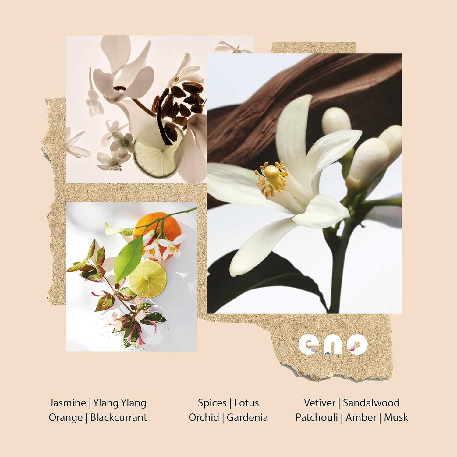 Flower Reed Diffuser Set with Essential Oils