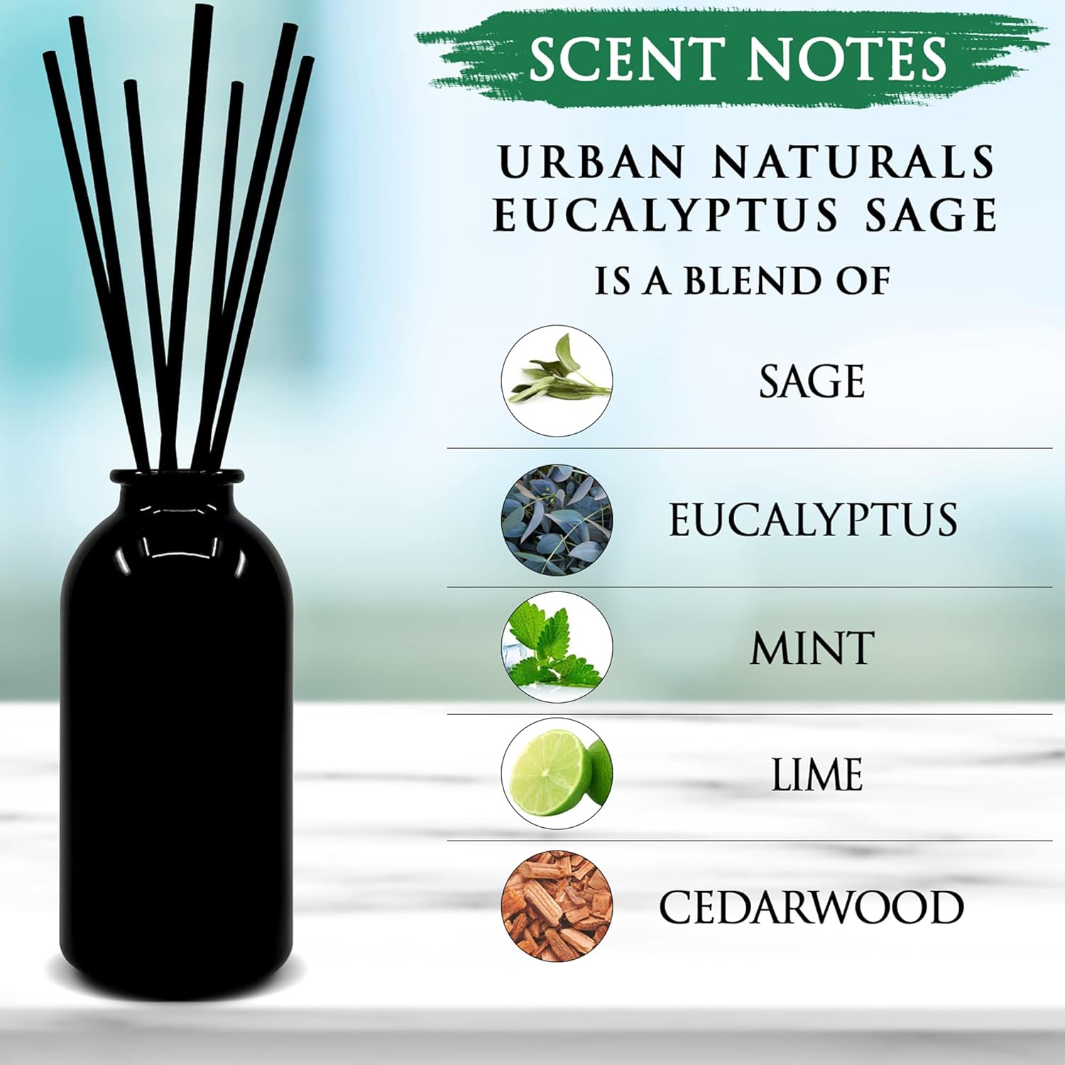 Urban Naturals Eucalyptus Sage Reed Diffuser Set