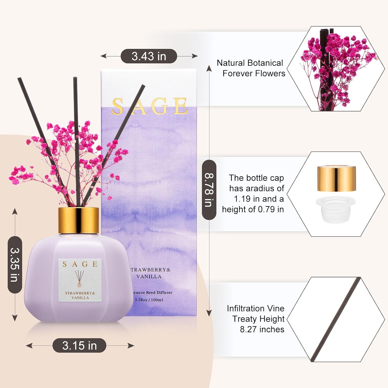 Sage Hotel Reed Diffuser - Vanilla Strawberry Scent