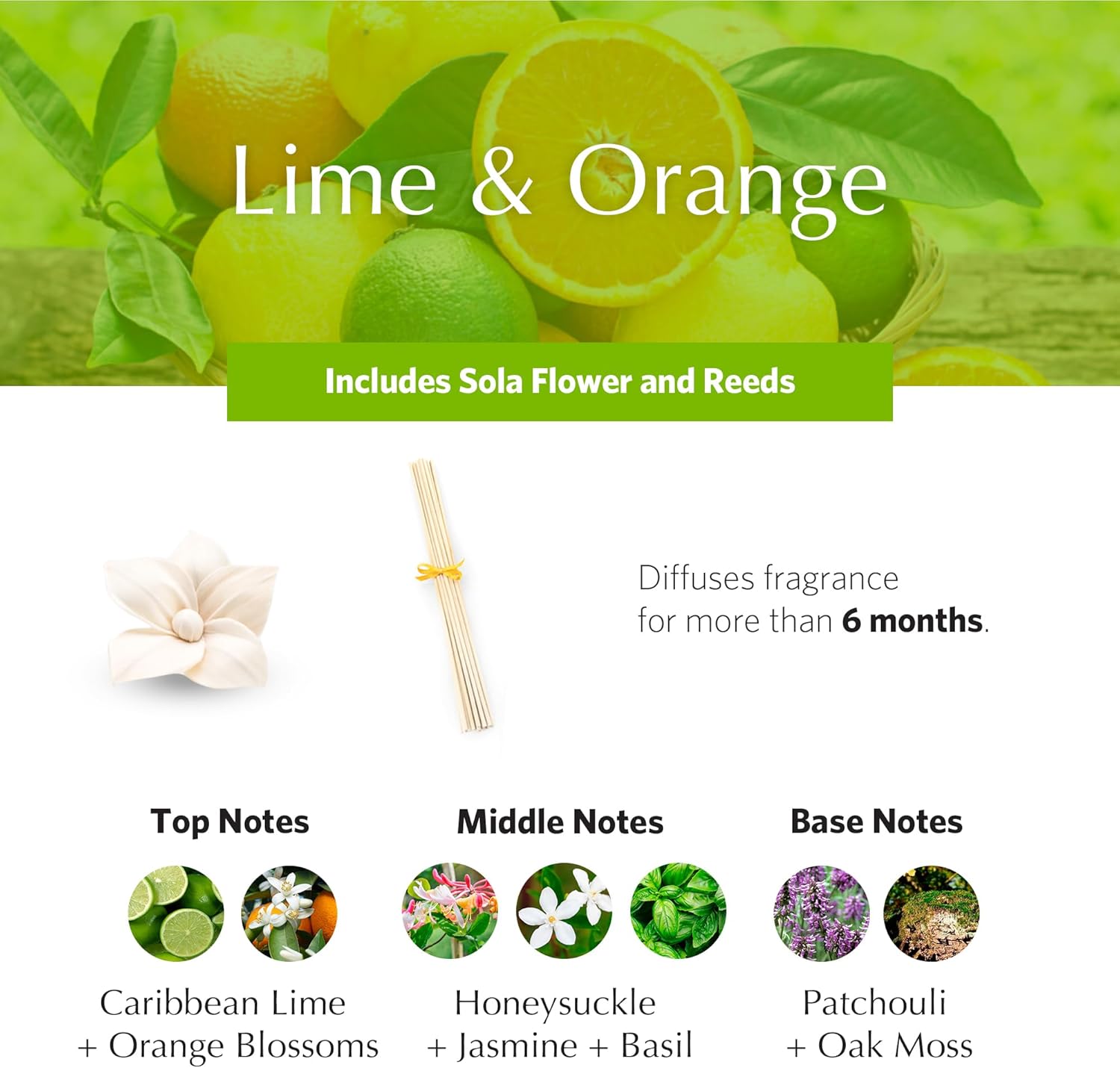 AGRARIA PetiteEssence Reed Diffuser Set 1