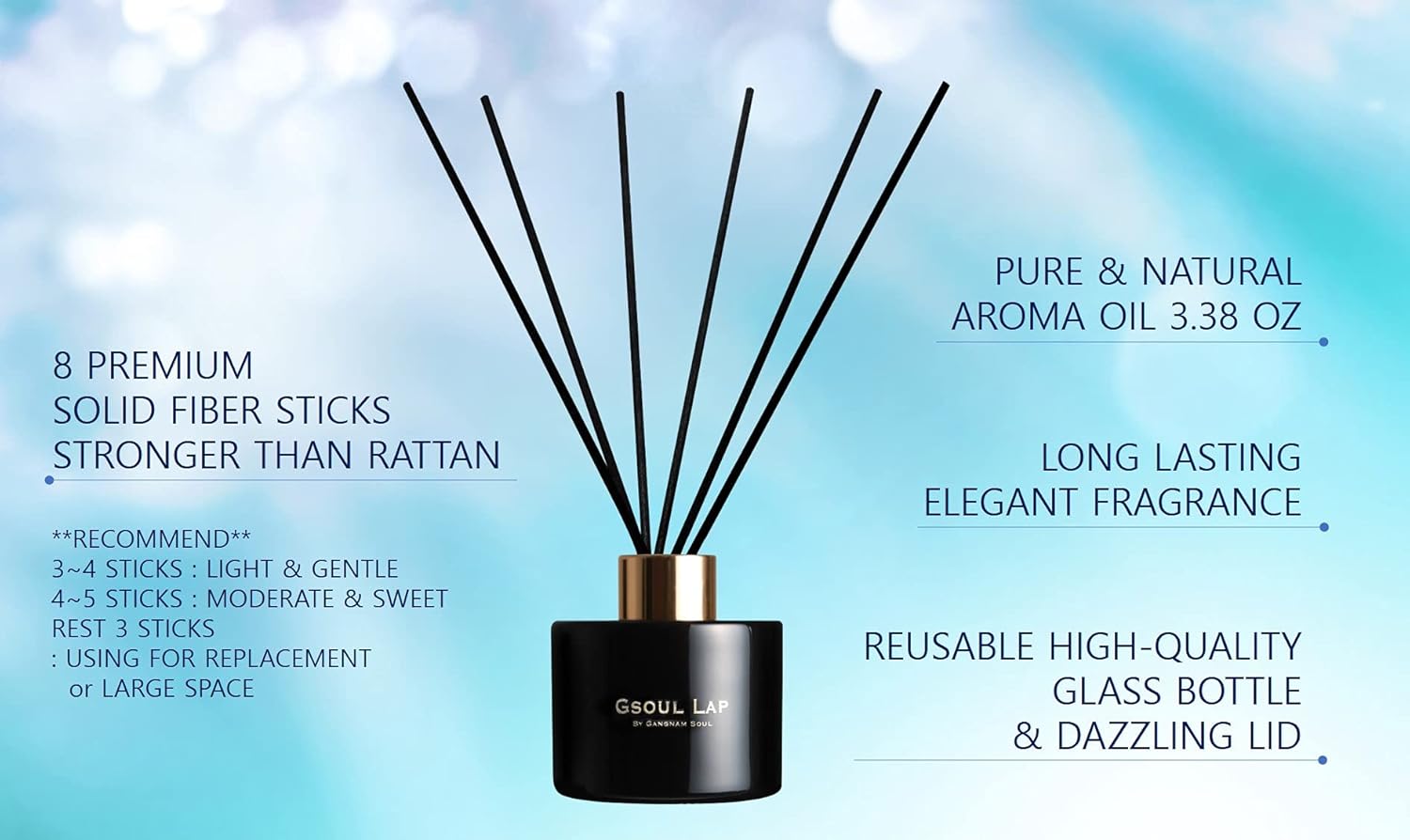 Vanilla Baltic Amber Black Reed Diffuser Set 100mL