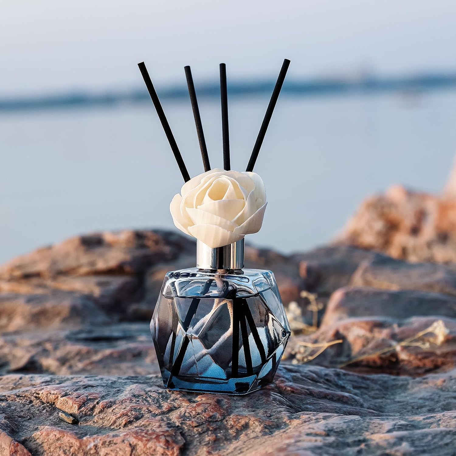 Brakula Reed Diffuser Set with 6 Scents and 8 Sticks