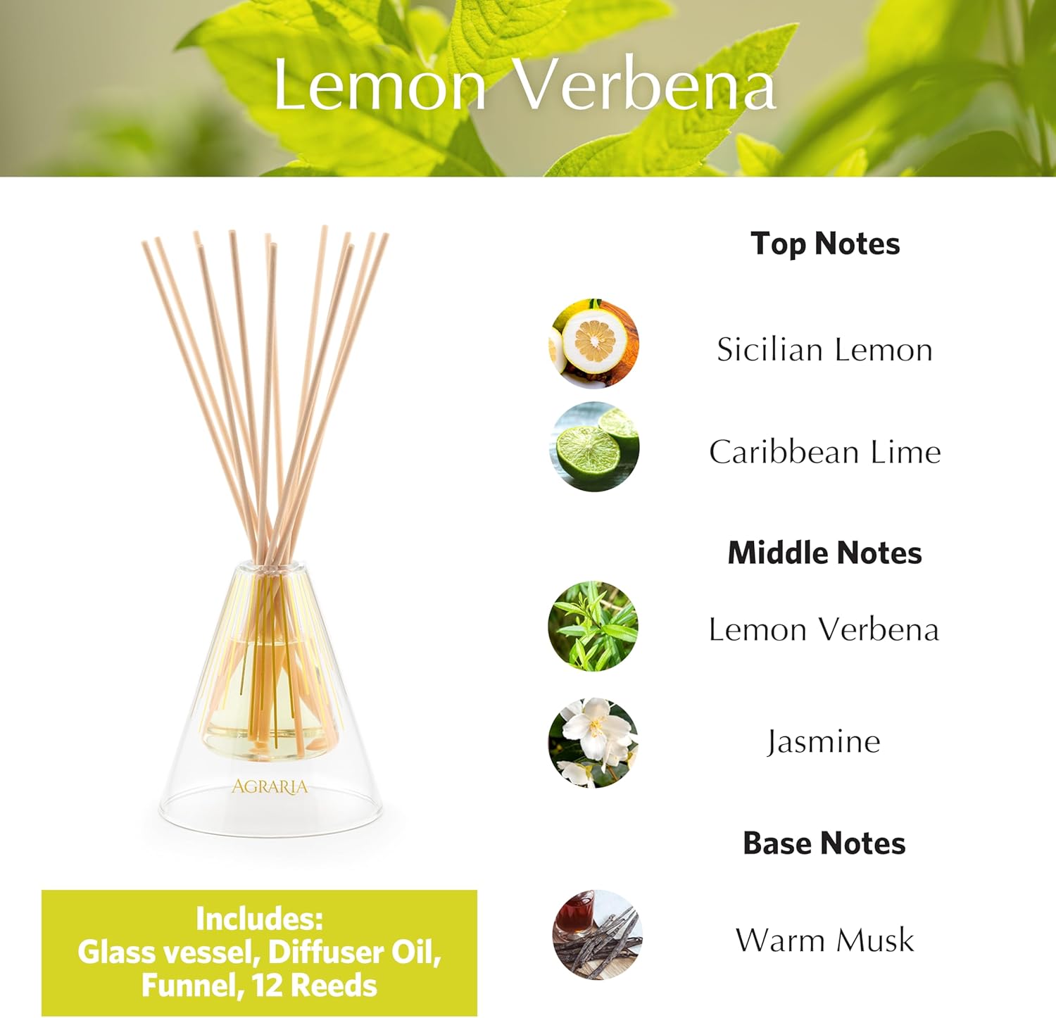 Agraria Lemon Verbena Reed Diffuser Set