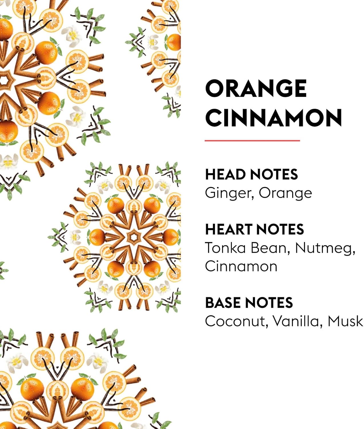 MAISON BERGER Cube Reed Diffuser Orange Cinnamon 1