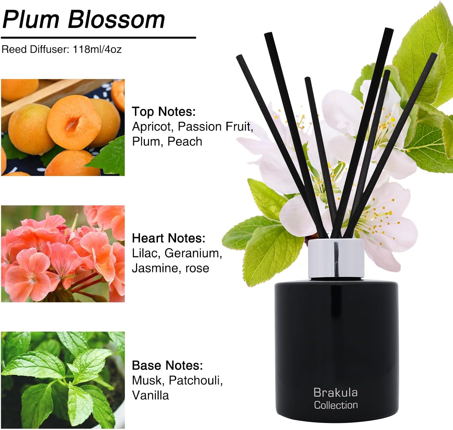 Brakula Reed Diffuser Set - Fresh Apricot Flower Scent 4oz
