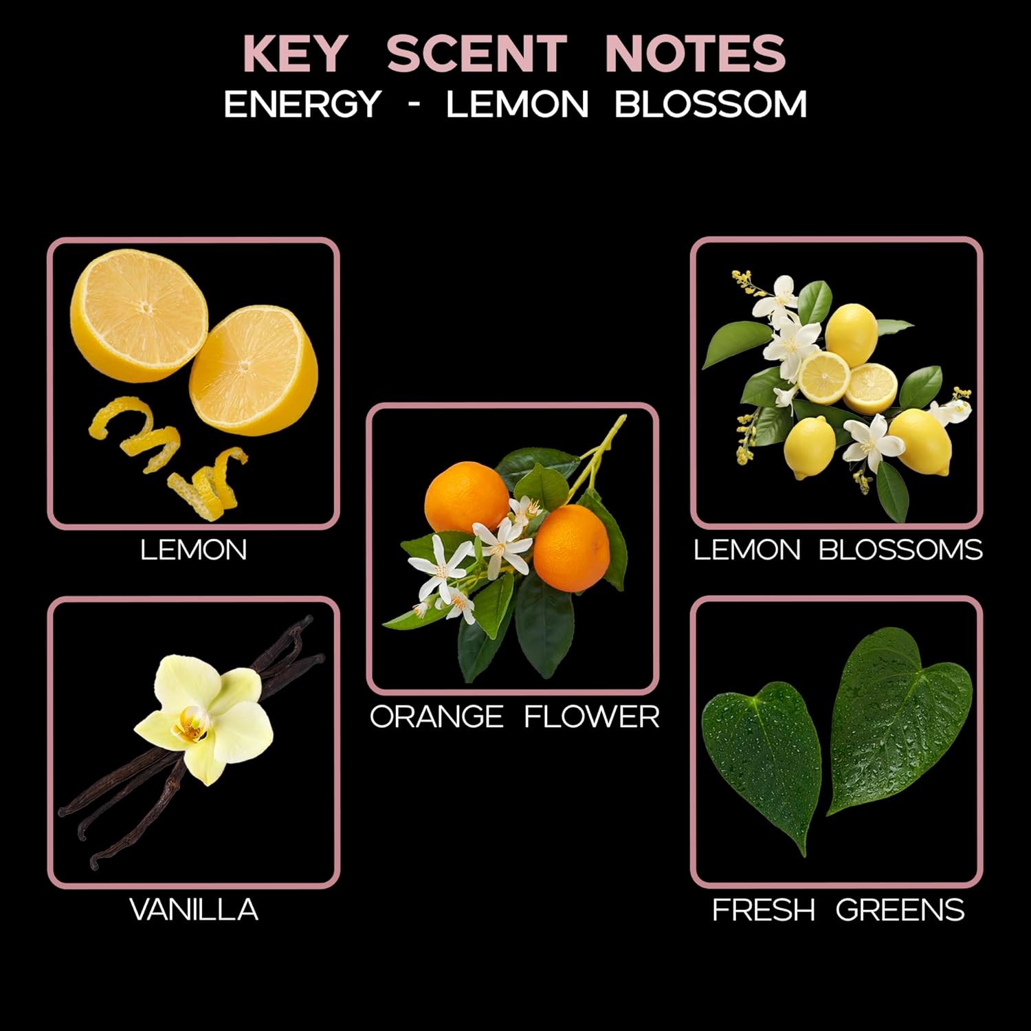 LOVSPA Energy Lemon Blossom Reed Diffuser Set