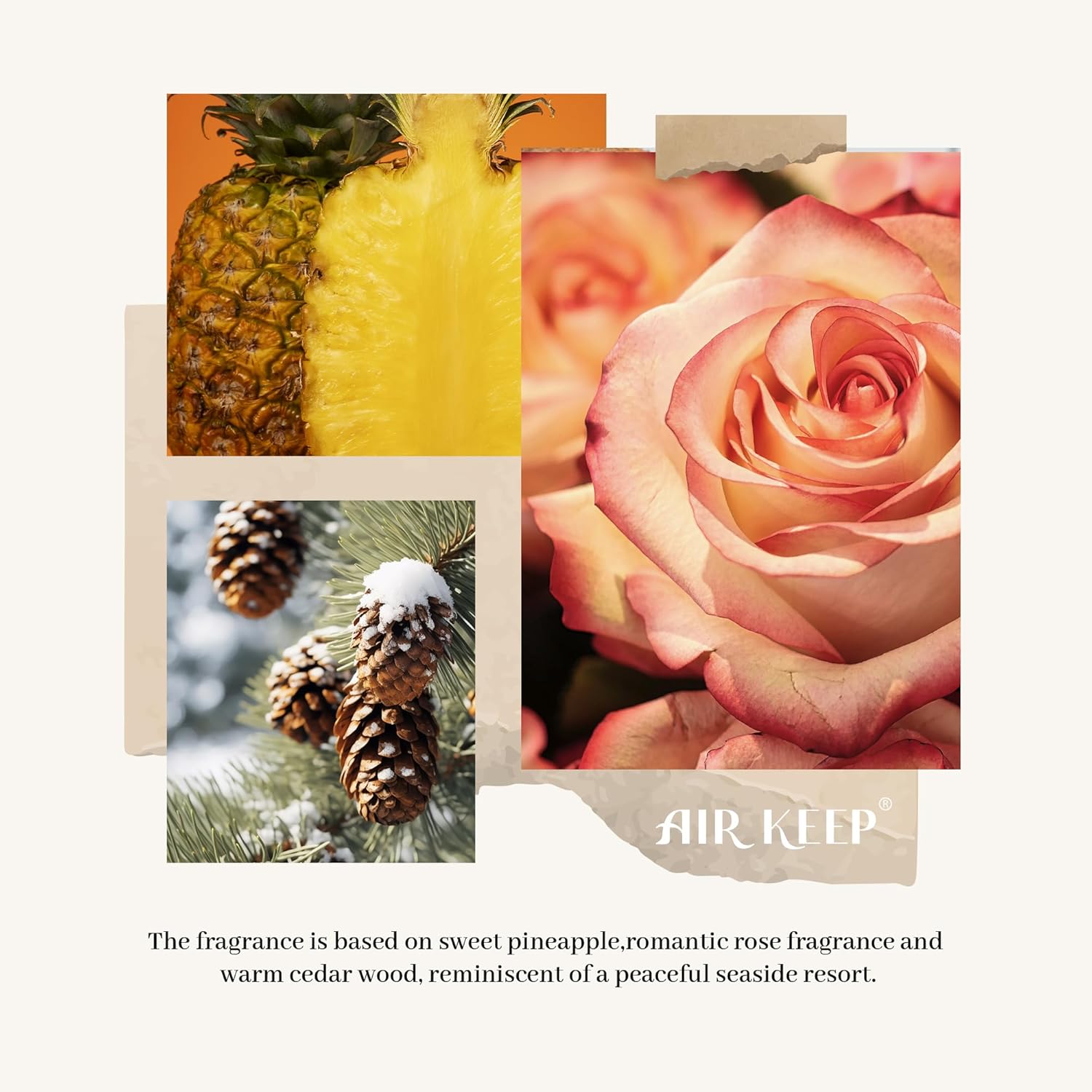 Airkeep Flower Reed Diffuser Set Pineapple Rose Cedarwood 150ml