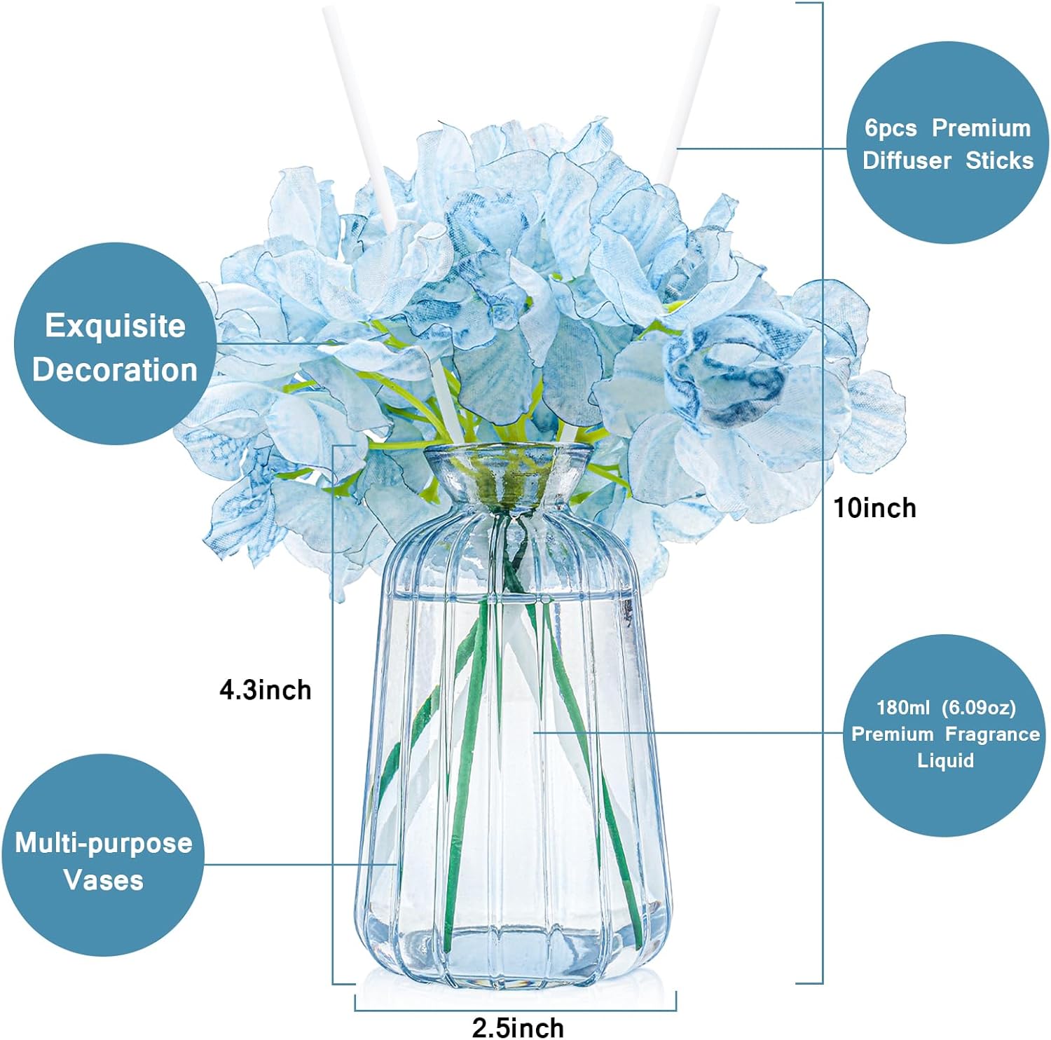 Homsolver Reed Diffuser Set for Home Decor