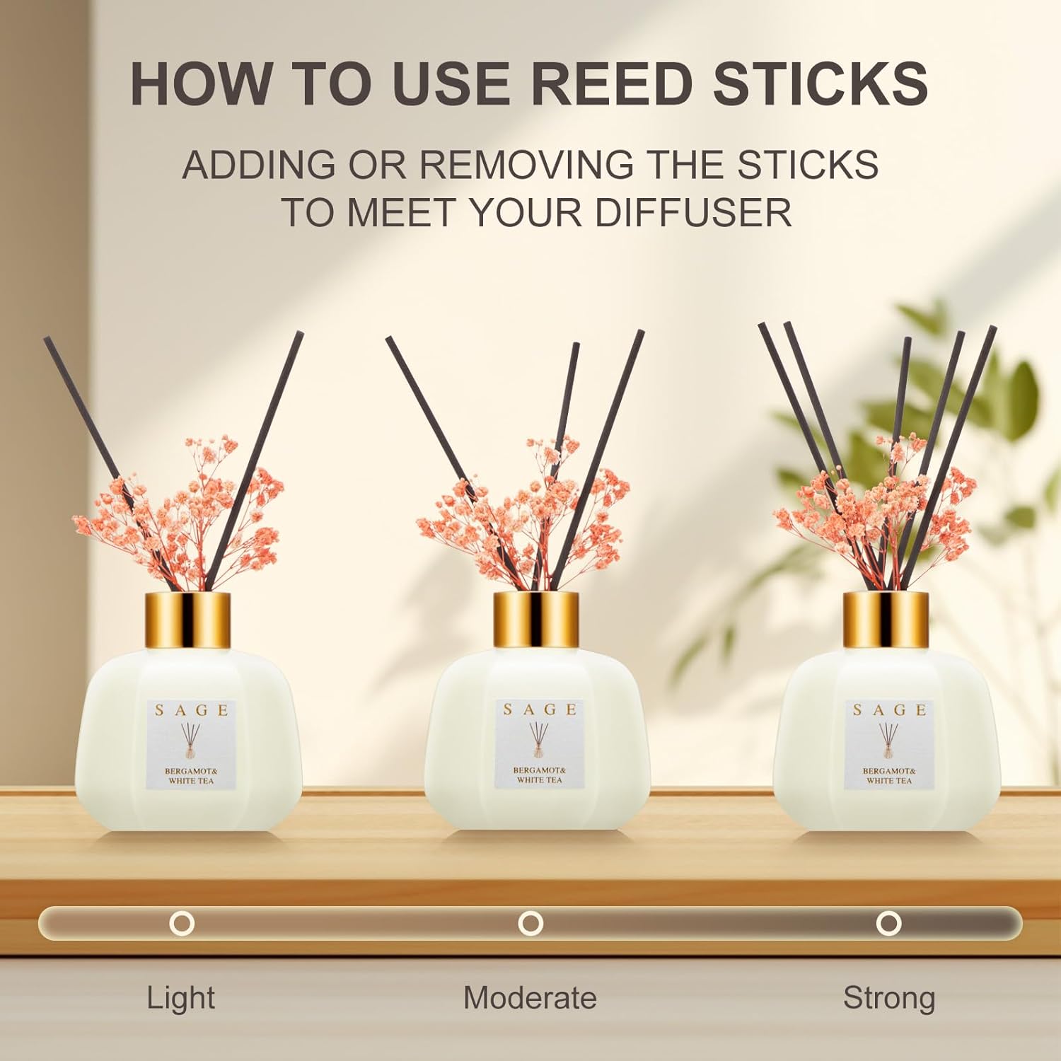 Sage Hotel Reed Diffuser - Bergamot White Tea Scent
