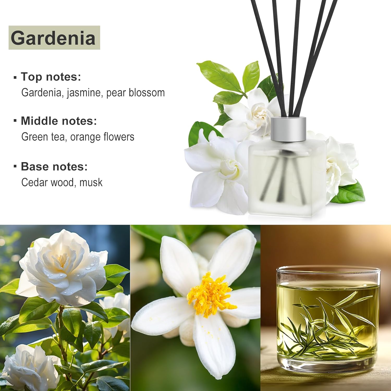 Gardenia Scented Reed Diffuser Set with 2 Pack 34 Oz Aroma Oil