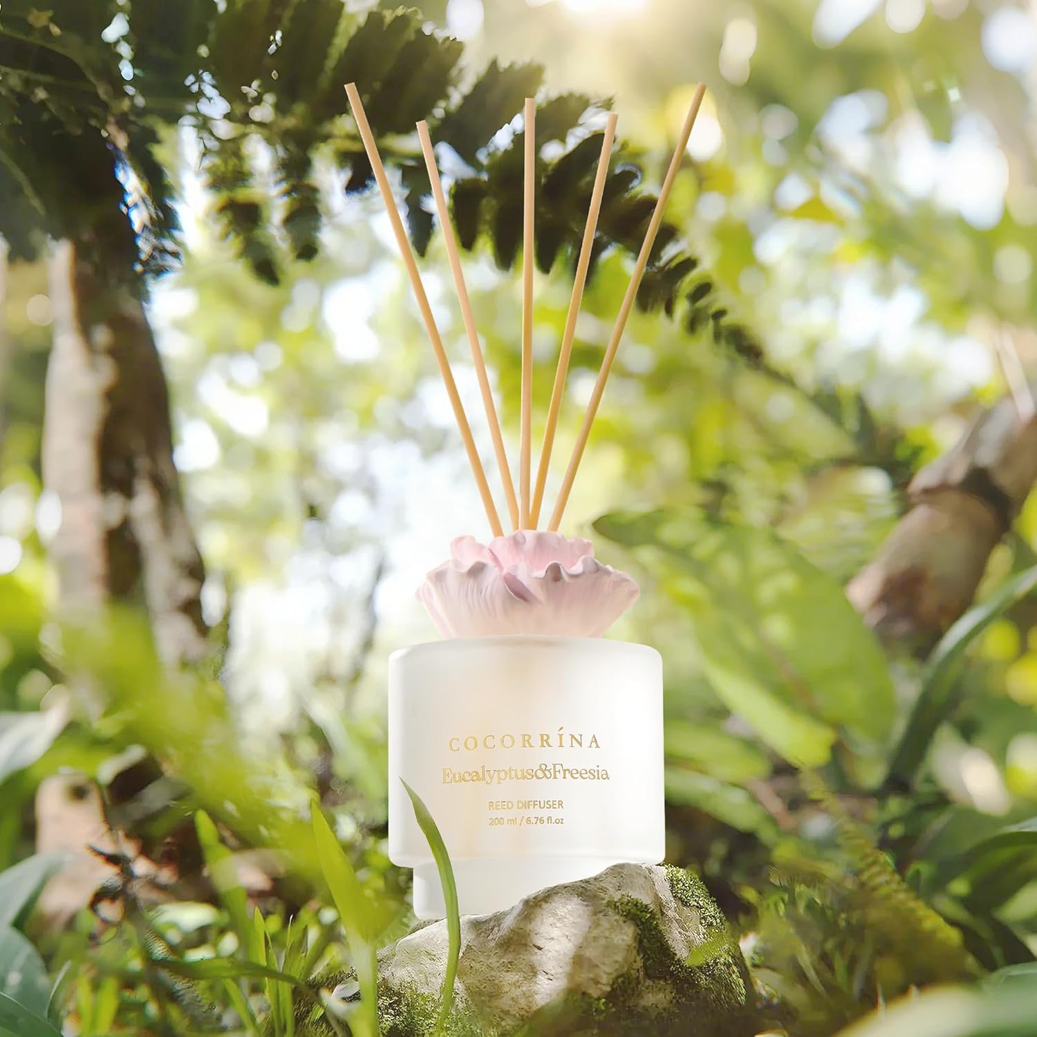 Cocorrina Gypsum Flower Diffuser Set Eucalyptus Freesia Scent