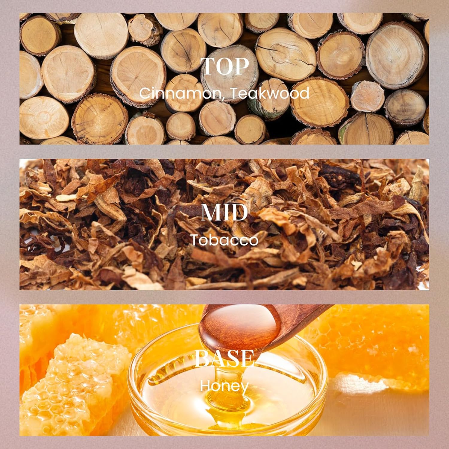 MSENSE 84 Oz Large Reed Diffuser with Sticks