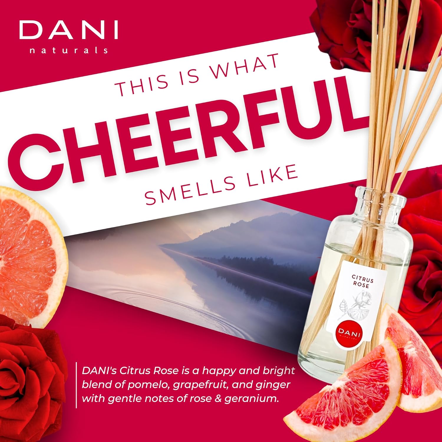DANI Citrus Rose Reed Diffuser Set - 10 Reeds 35 oz