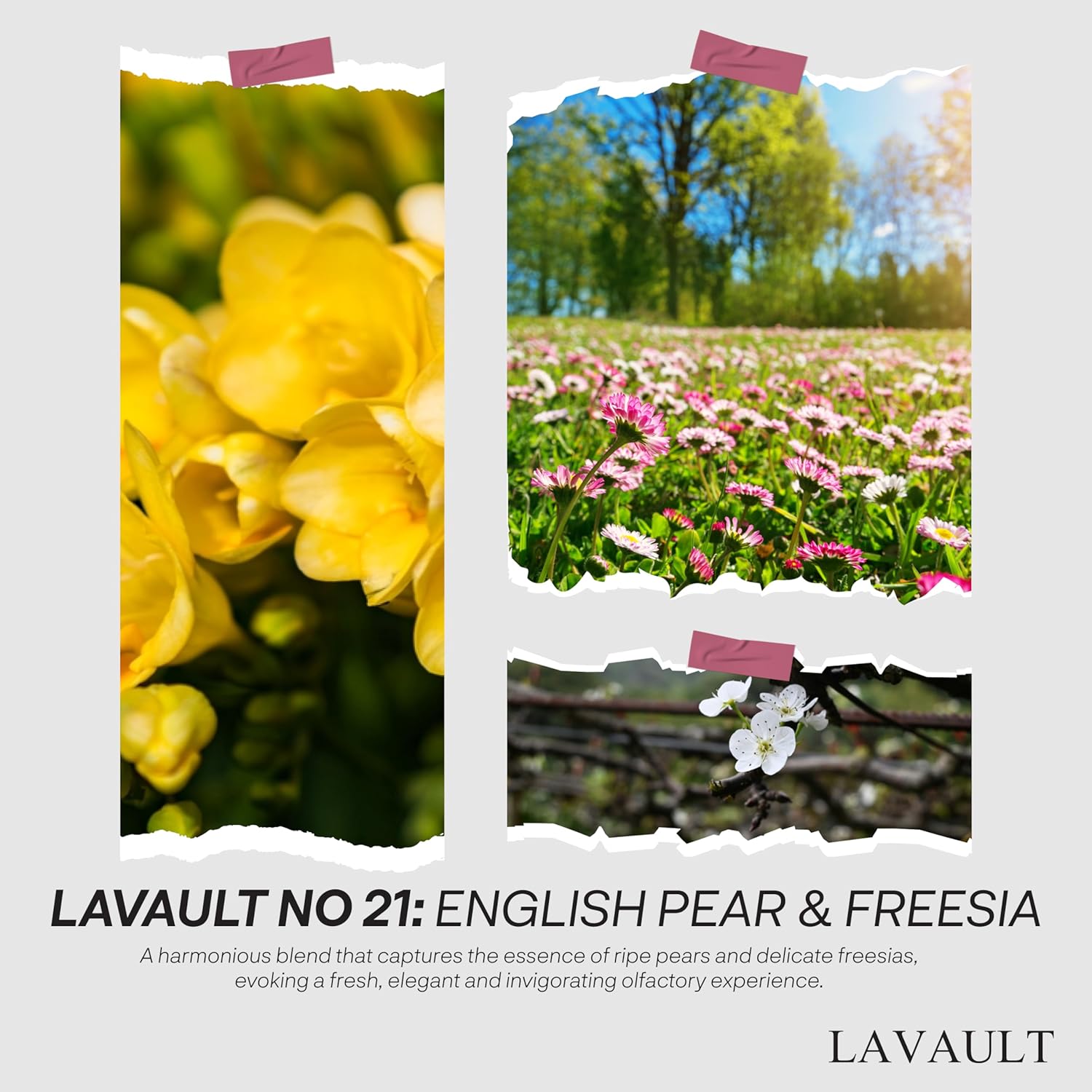 Lavault Scented Reed Diffuser - English Pear and Freesia