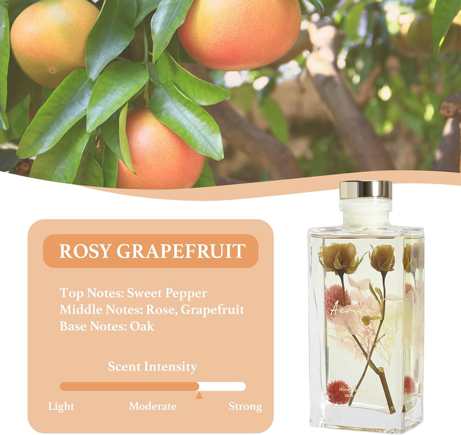 Aeviva Reed Diffuser Set 5 Fl Oz Rose Grapefruit Scent