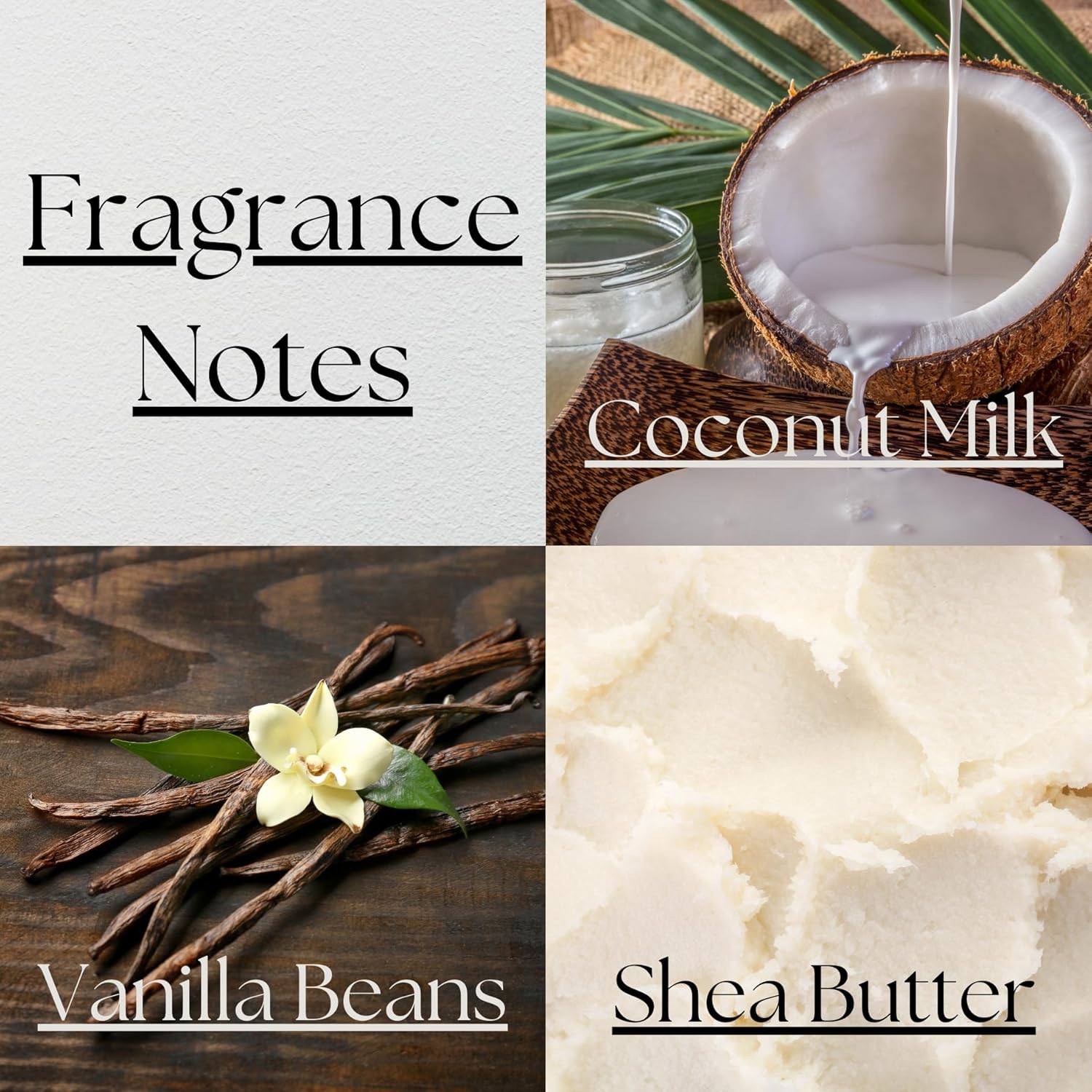 PEANAK Reed Diffuser Set of 2 - Vanilla Coconut Fragrance