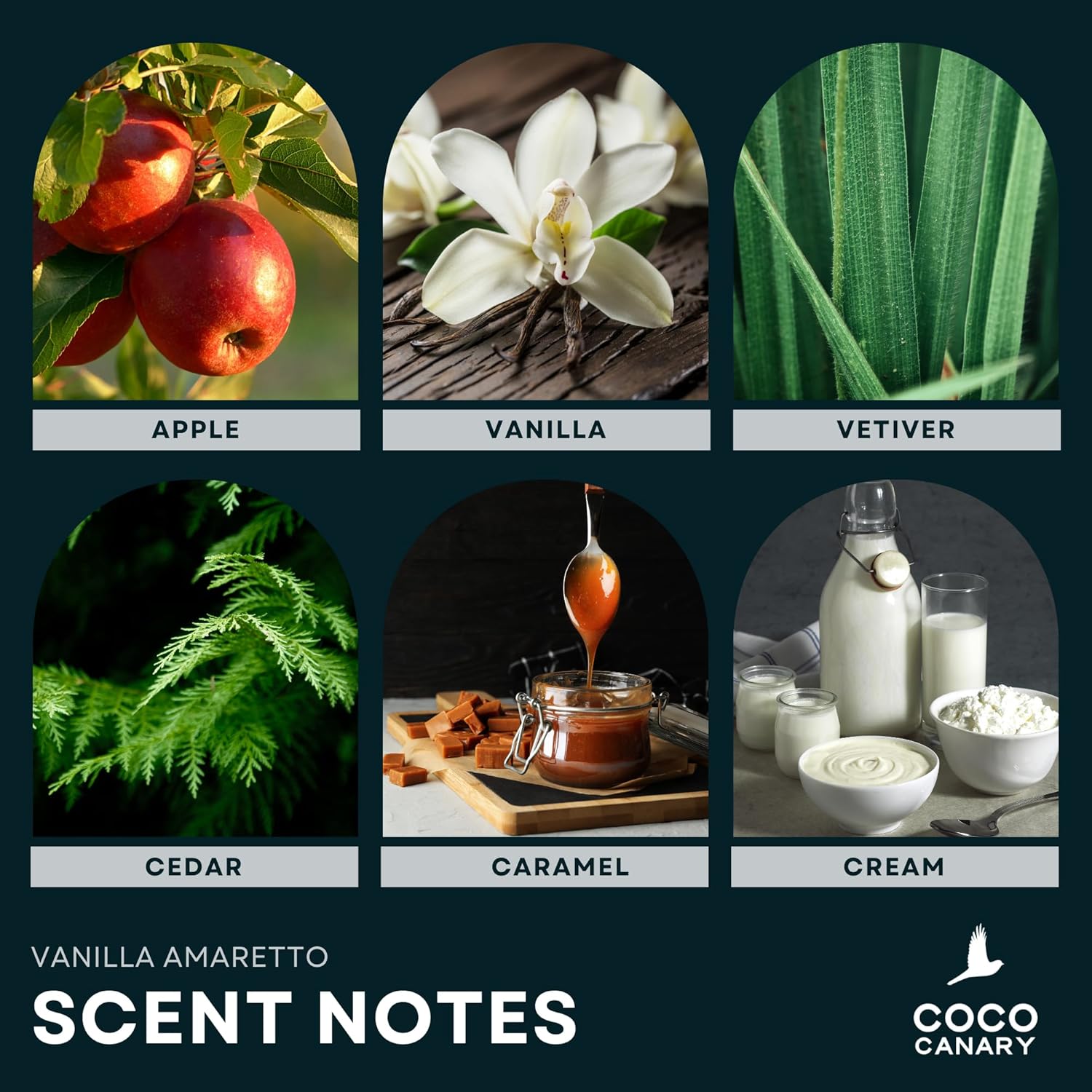 Coco Canary 67 Oz Reed Diffuser Vanilla Amaretto